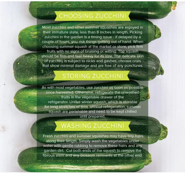 Zucchini_v1_08.jpg