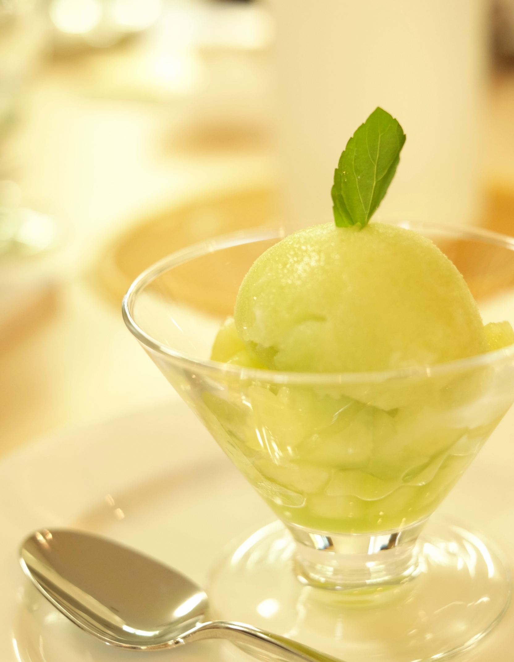 Easy No Churn Honeydew Mint Sorbet