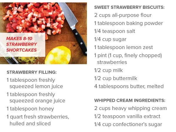 Strawberry_Shortcake_v2_05.jpg