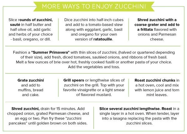 Zucchini_v1_13.jpg
