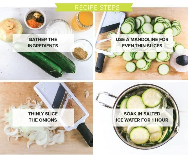 Zucchini_v1_06.jpg