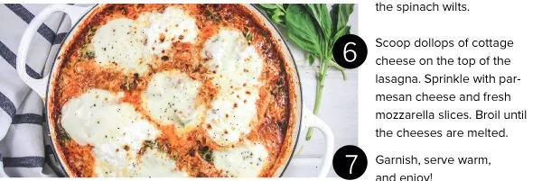 Lasagna_v2_11.jpg