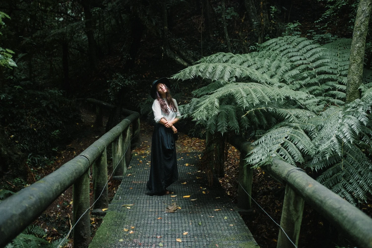 B02 + Undergrowth by Danielle Lindenlaub