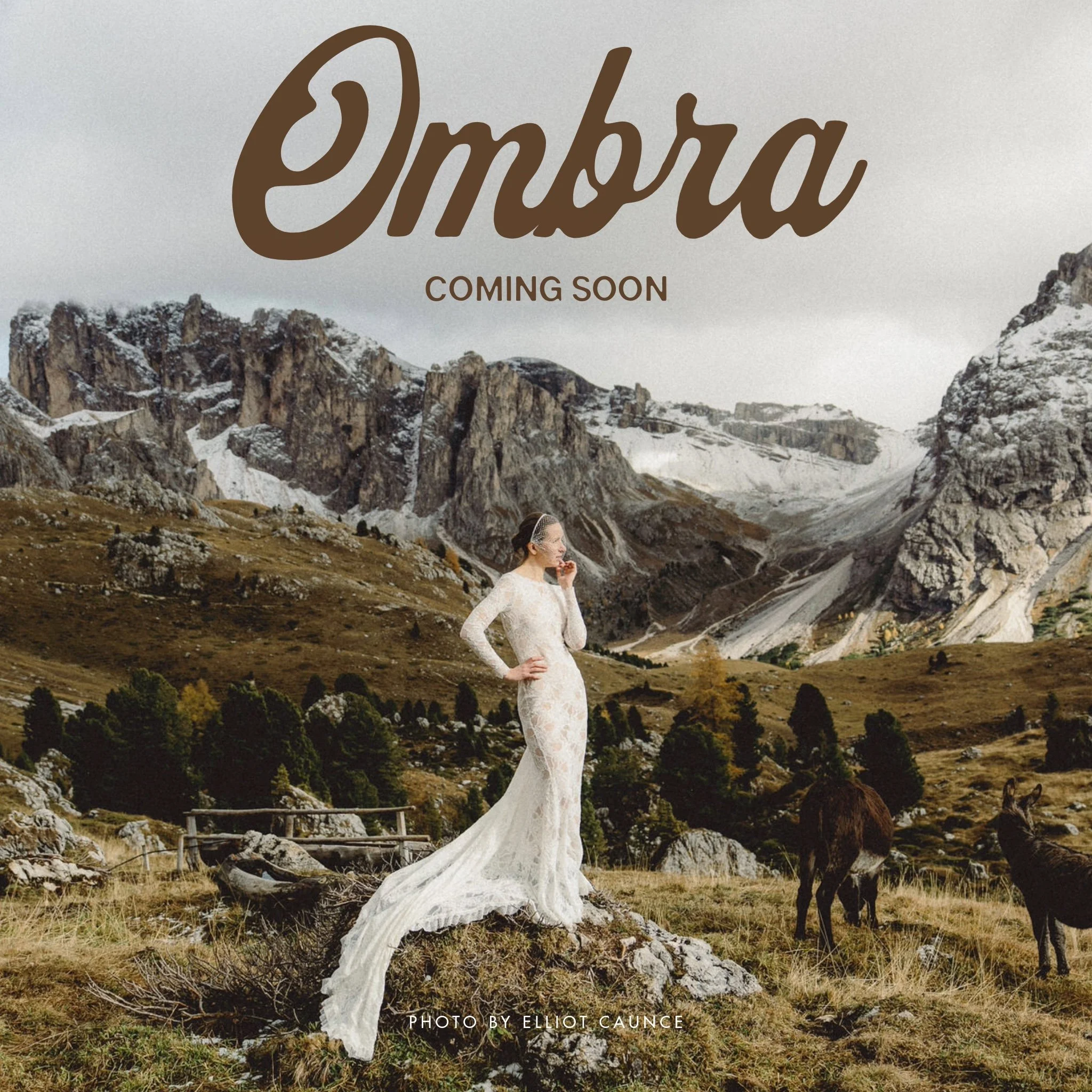 Quest 61 - Ombra
