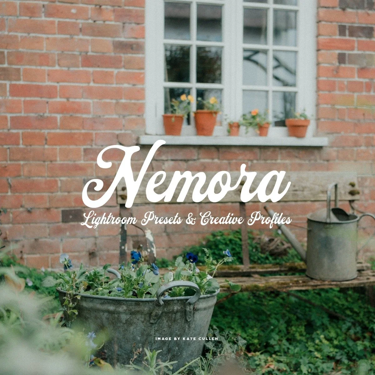 Quest 62 - NEMORA