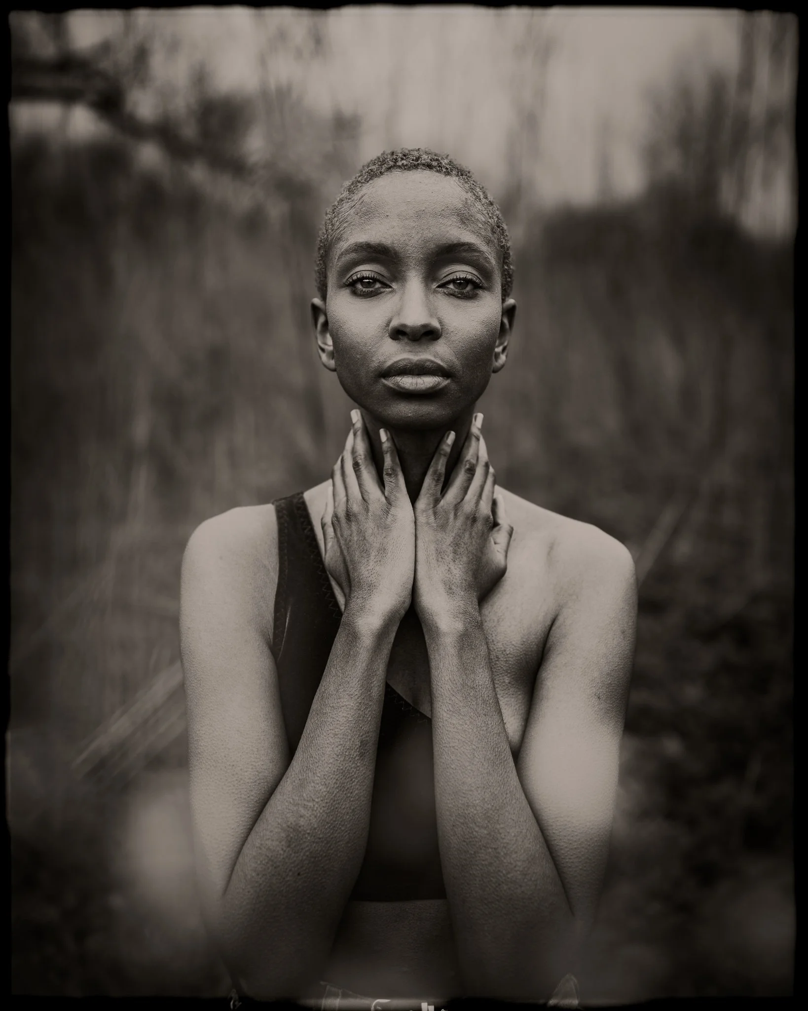 Quest 34 Collodion — Archipelago Quest