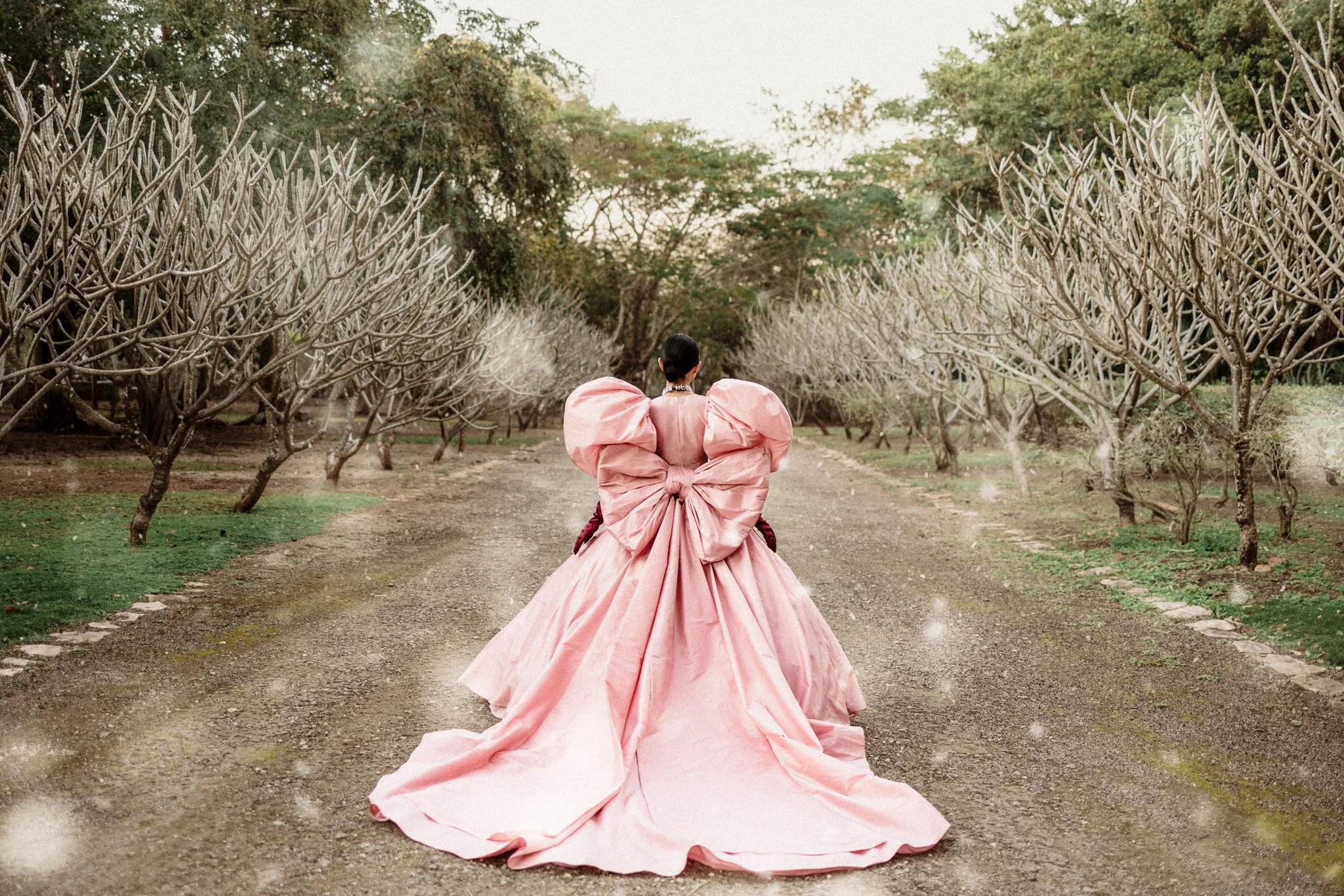 Snowfall // Fabrizio Simoneen