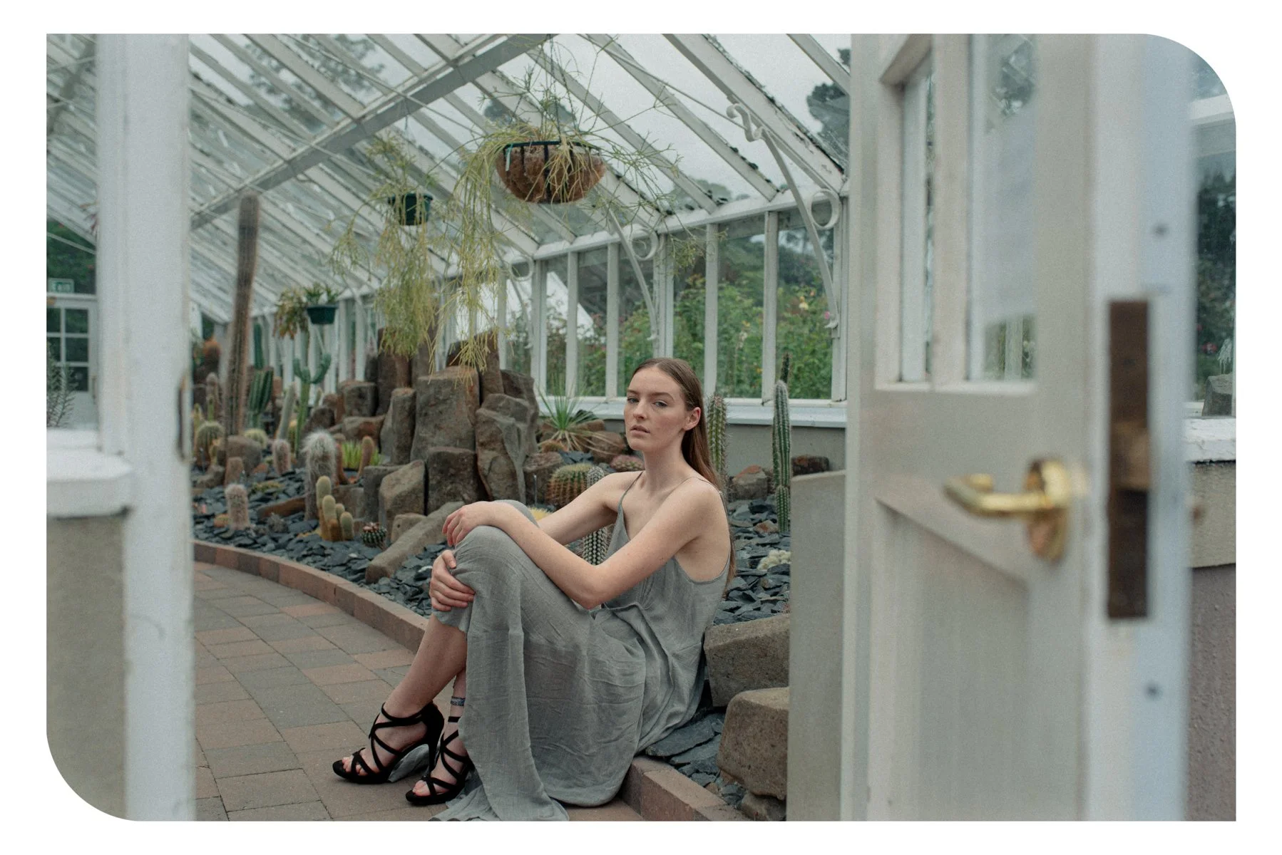 Nexus + Modern 5 // Danielle Lindenlaub