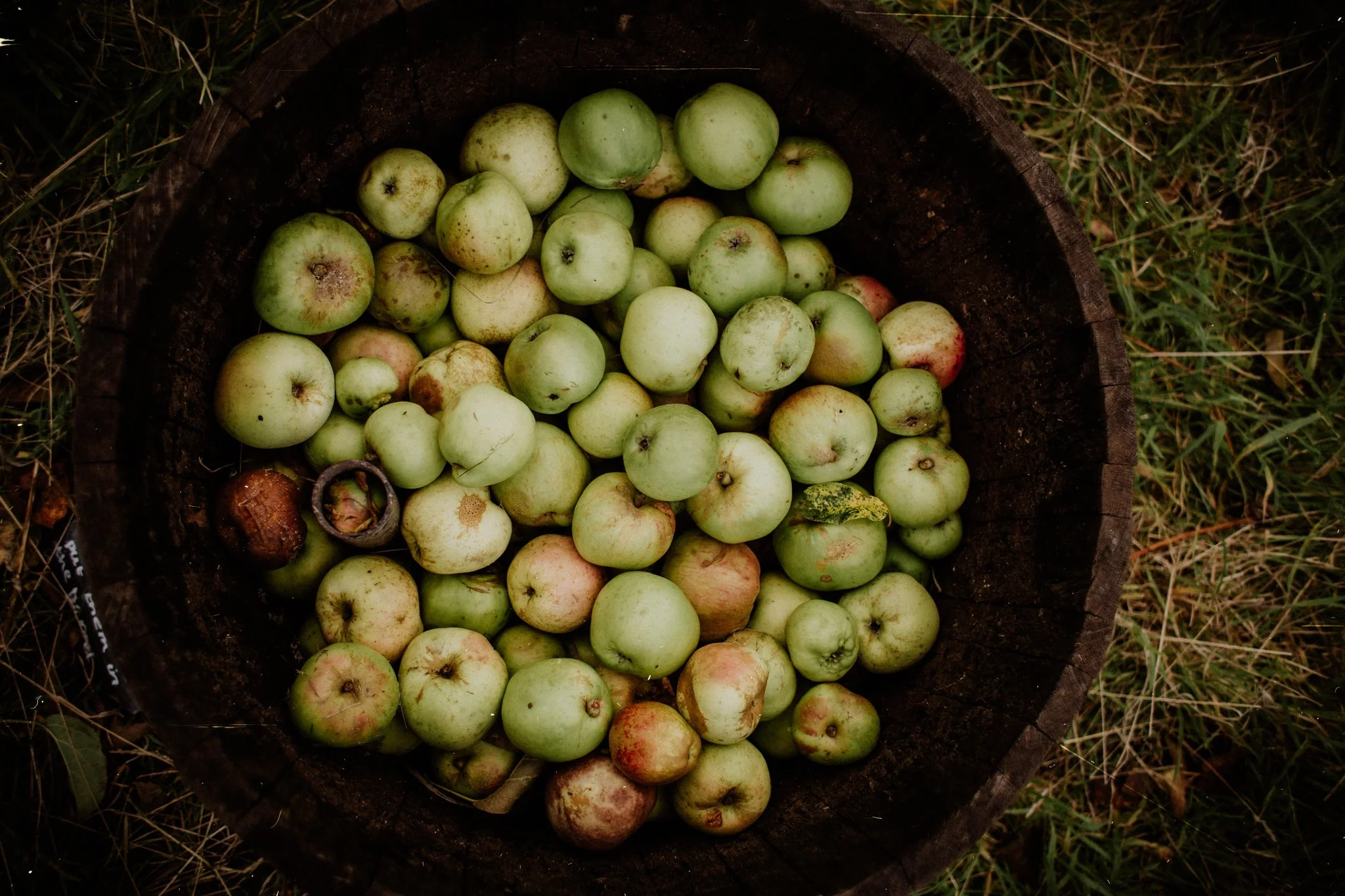 ExFilm SE + D&S 6 // Magdalena Bury