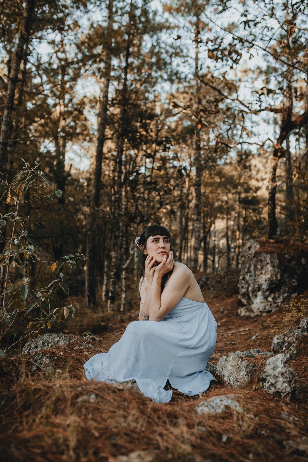 Peak Fall + Lighten Foliage // Cecilia Nava