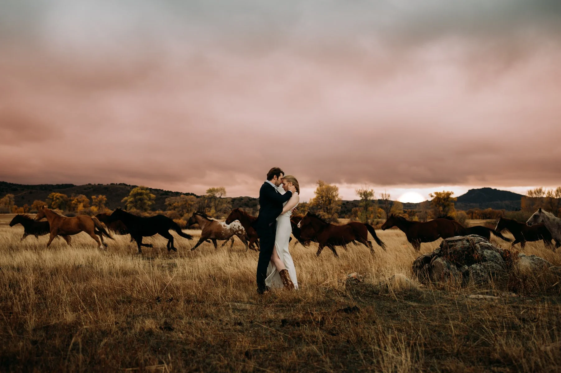 Horizon H + Sun H // Flora Gibson