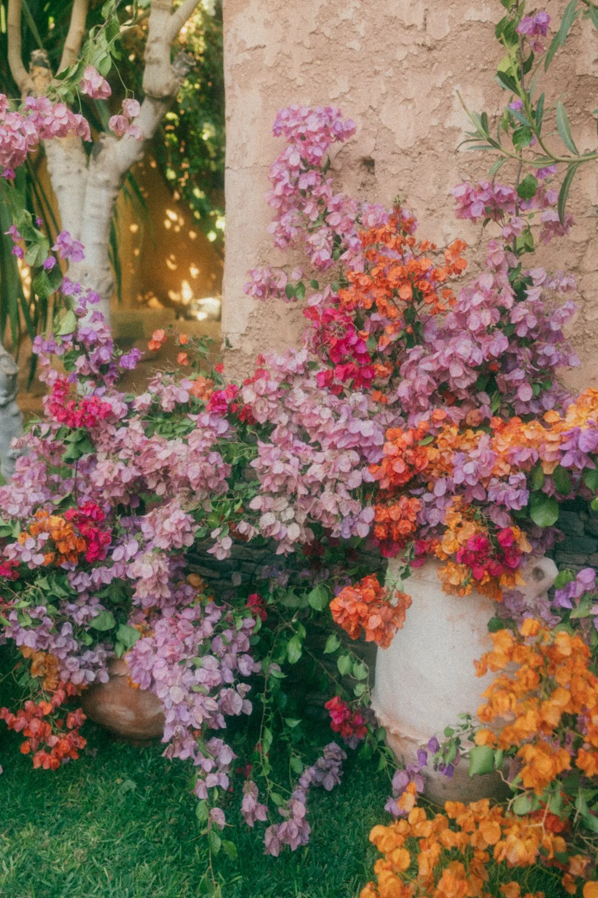 SUPERBLOOM 02 + EMULSION // Bernadeta Kupiec