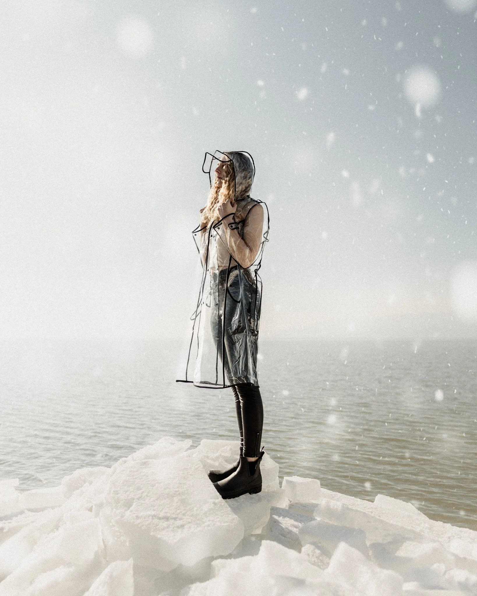 Snowfall + Mist // Rebekah Dunn