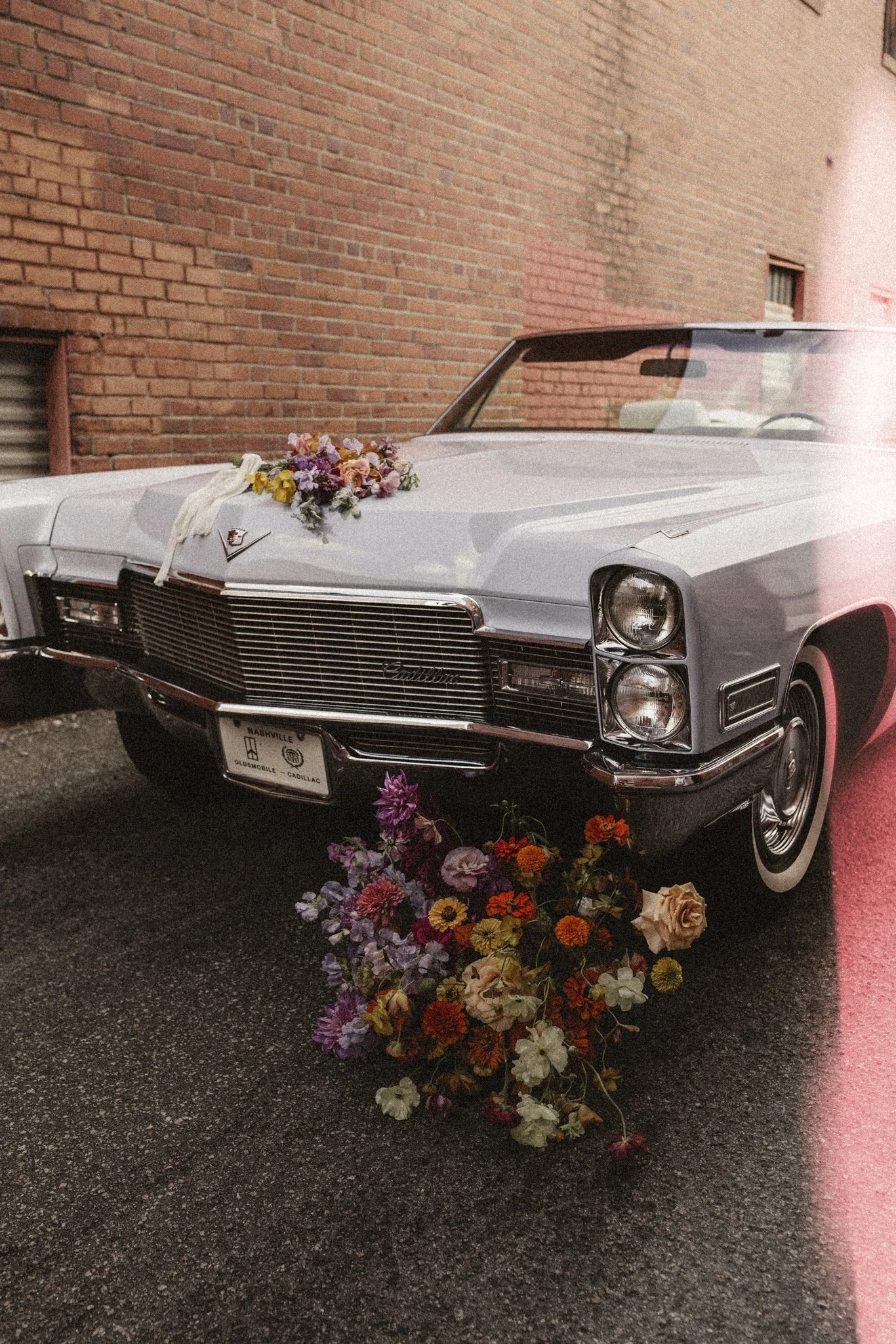 Light leaks 01 i // Angela Khalil