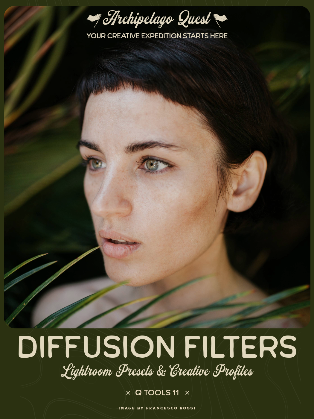 DIFFUSION FILTERS • QUEST TOOLS 11