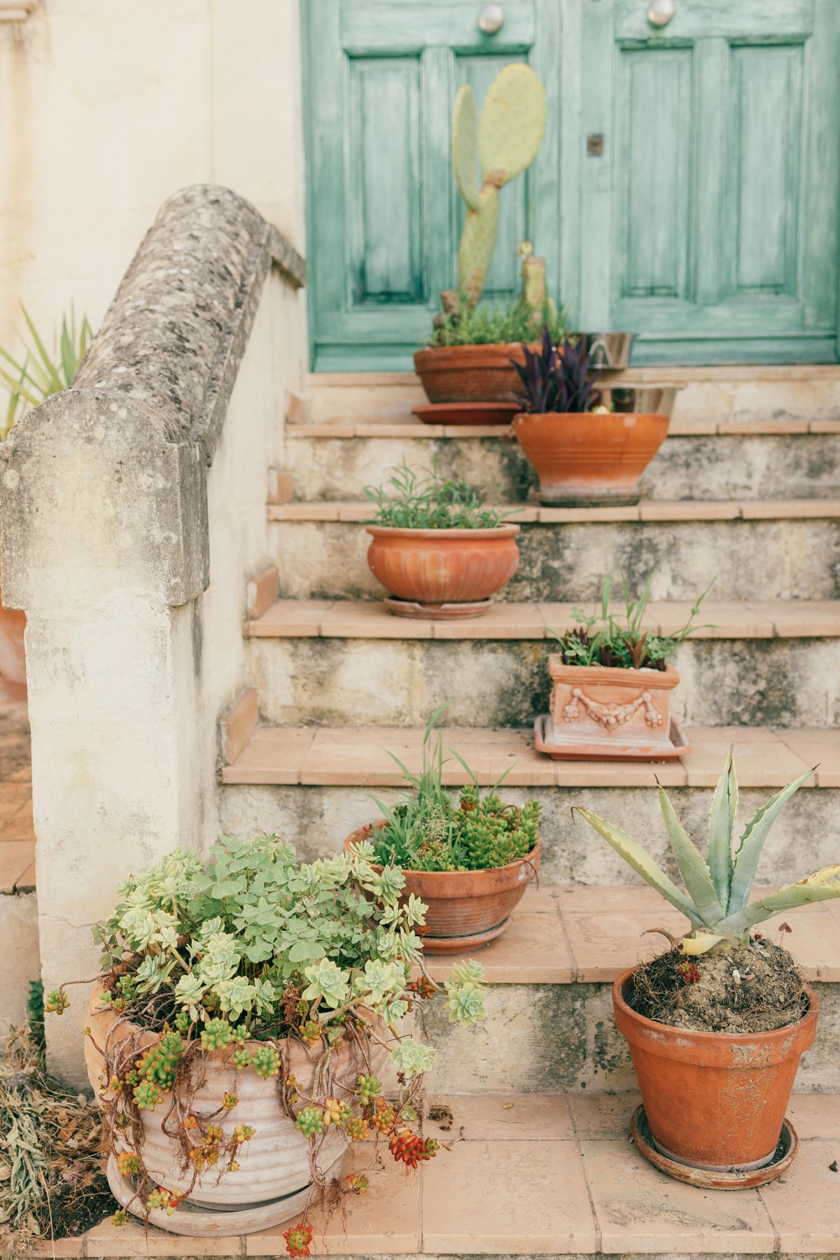 SUPERBLOOM 02 + Refine // Bernadeta Kupiec