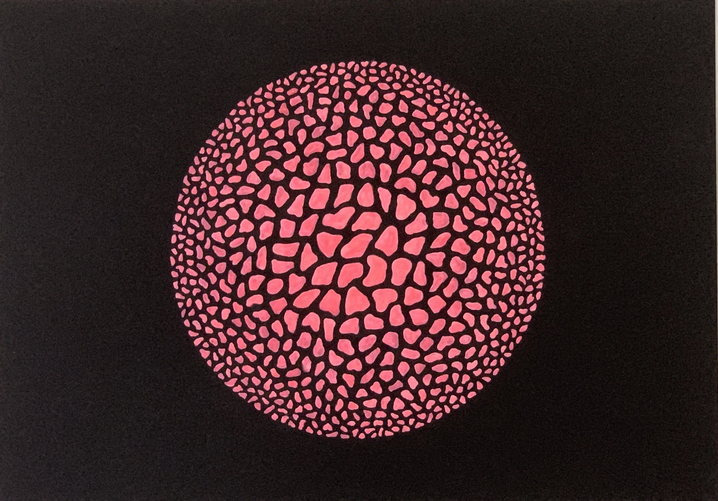 Phosphorescent Pink Moon Rocks, 
Paint/paper, 11.7” x 16.5”, 2025 daytime view, $1050