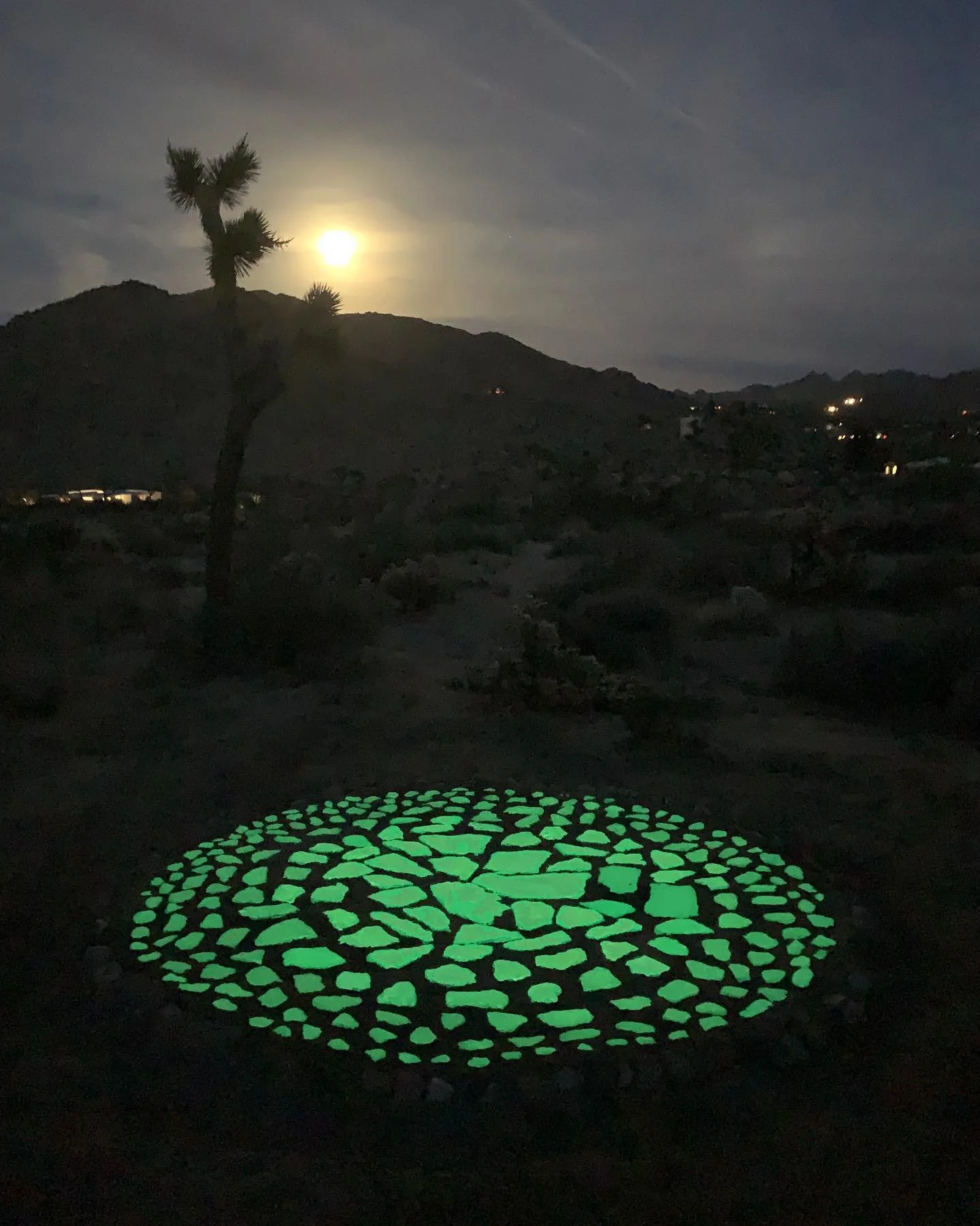 Moon Rocks, desert installation, source for paintings, 2021