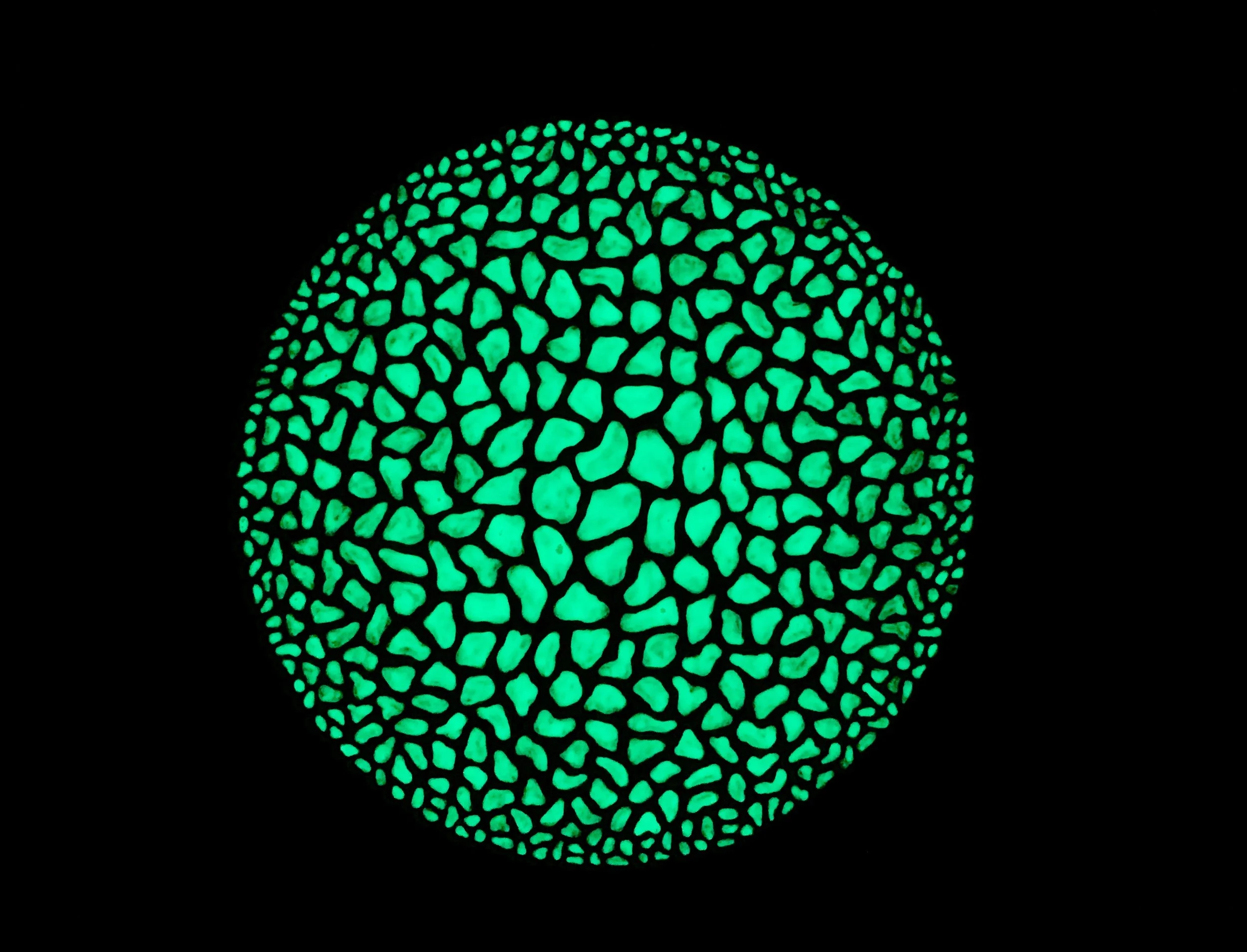 Phosphorescent Moon Rocks 3, Paint/paper, 11.7” x 16.5”, 2025, nighttime view, $1050