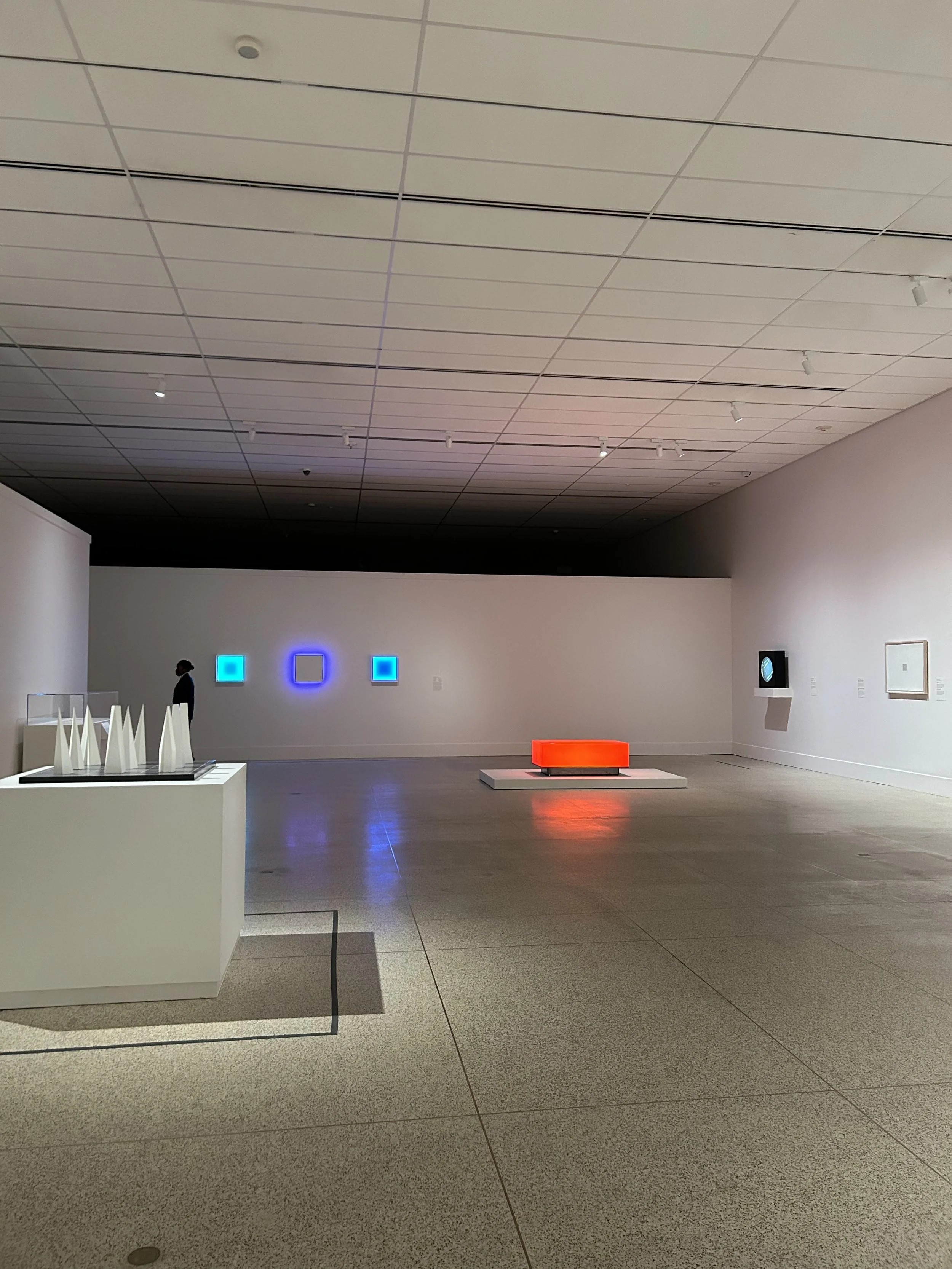 american minimal, SDMA.jpeg