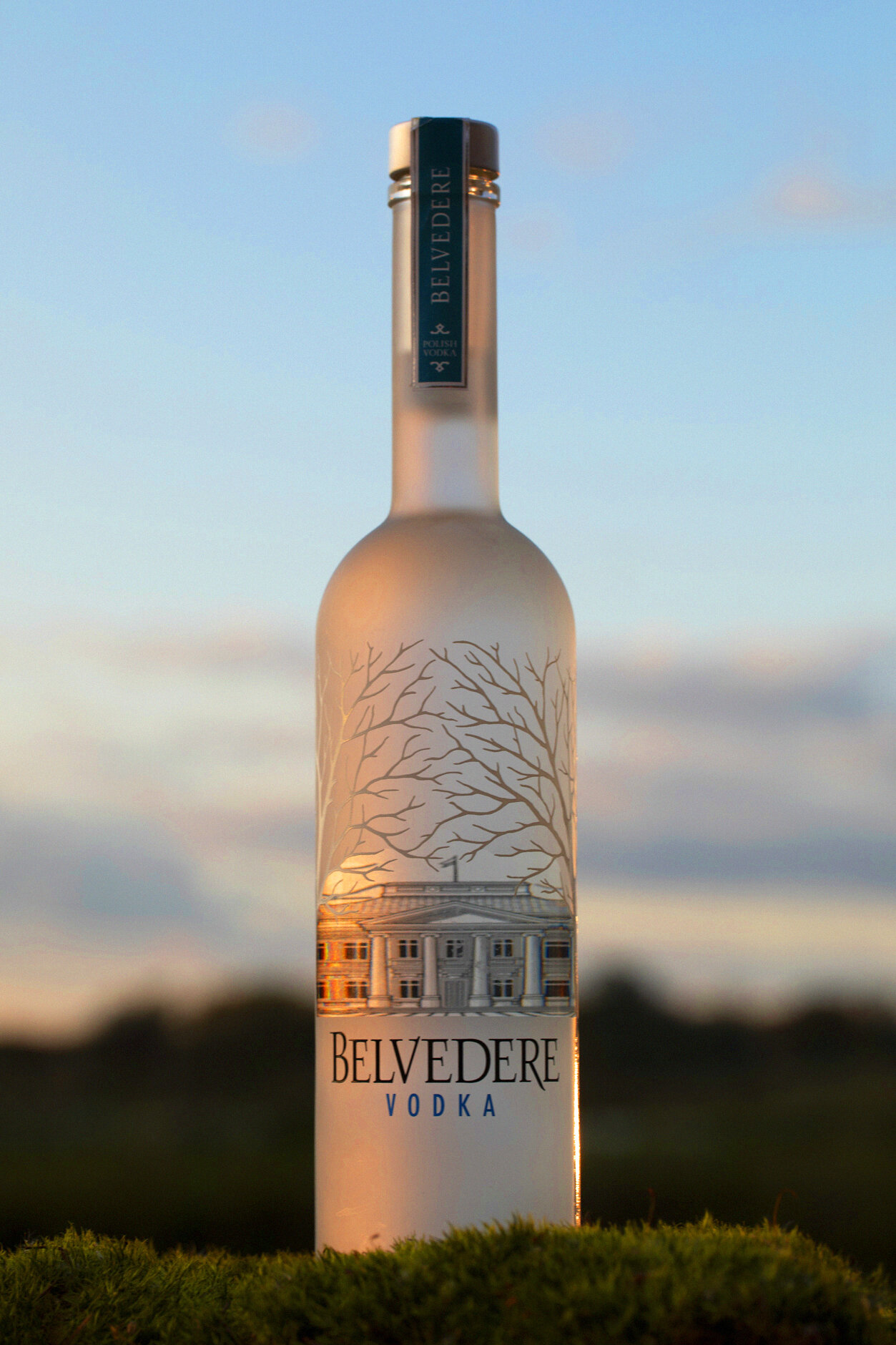 Belvedere Vodka Print Campaign - sarahkara