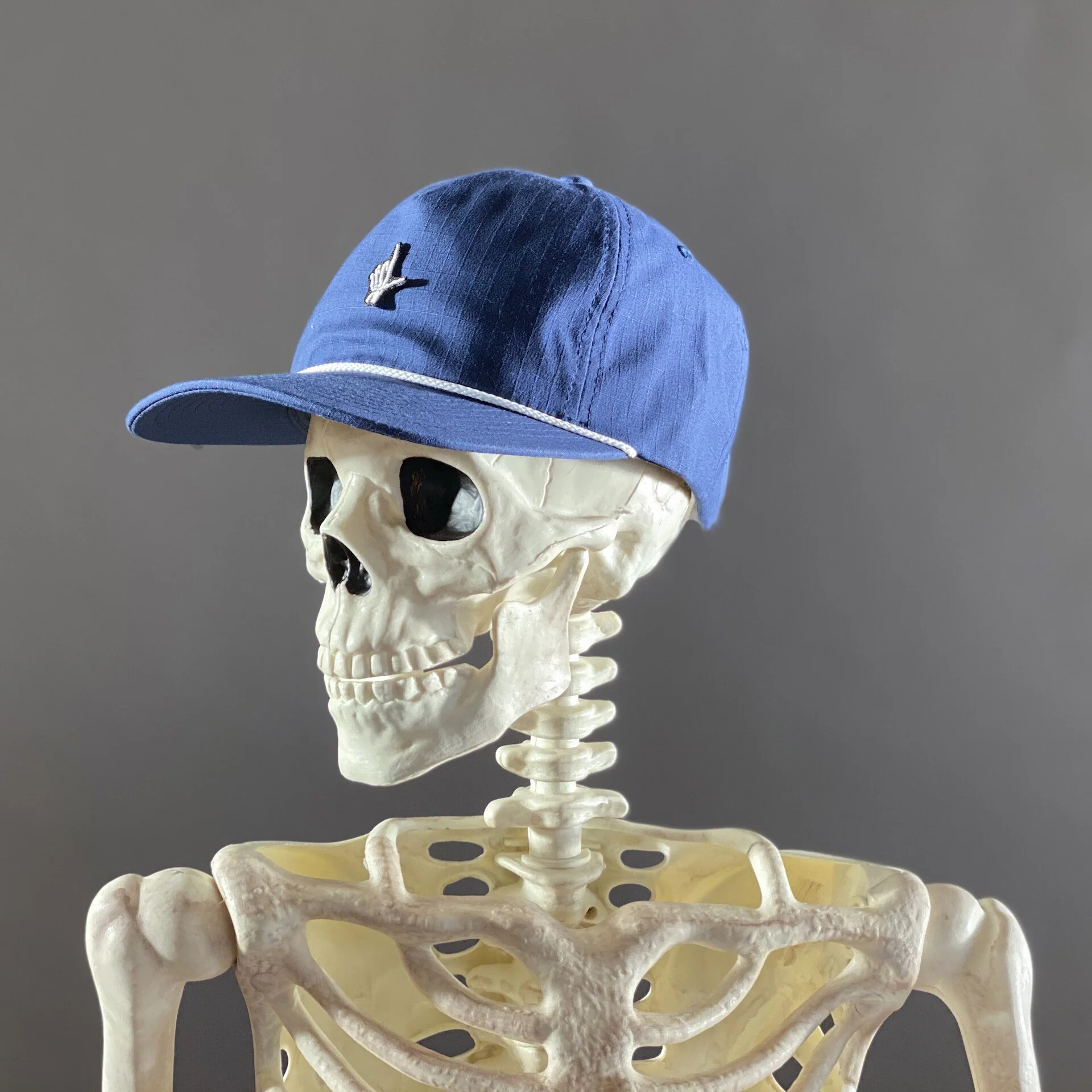 THE BLUEZER