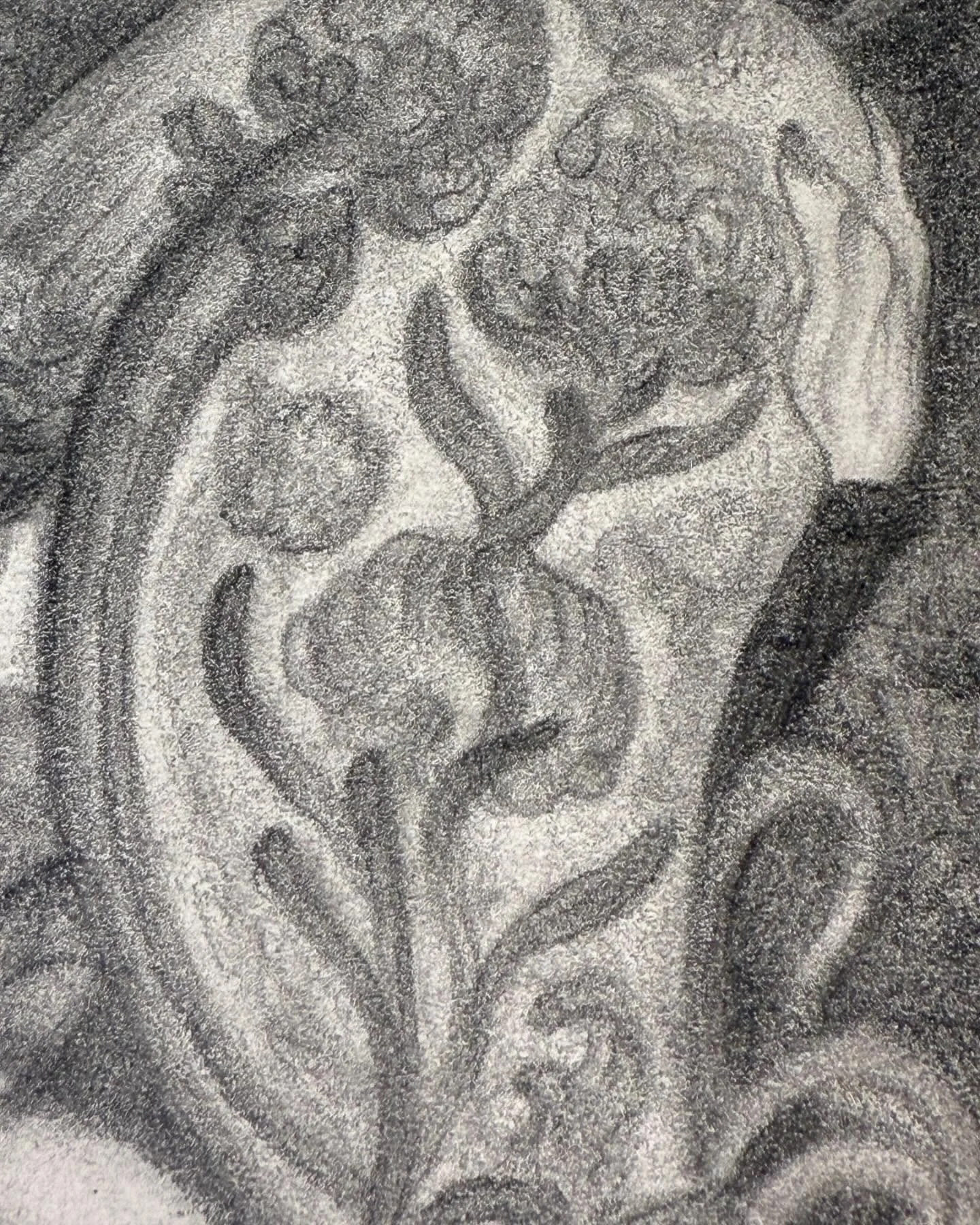 ✨🌹 WIP 🌹 ✨