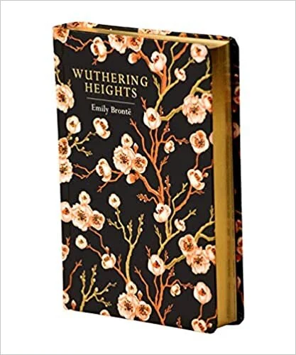 Classic Novel Ireland