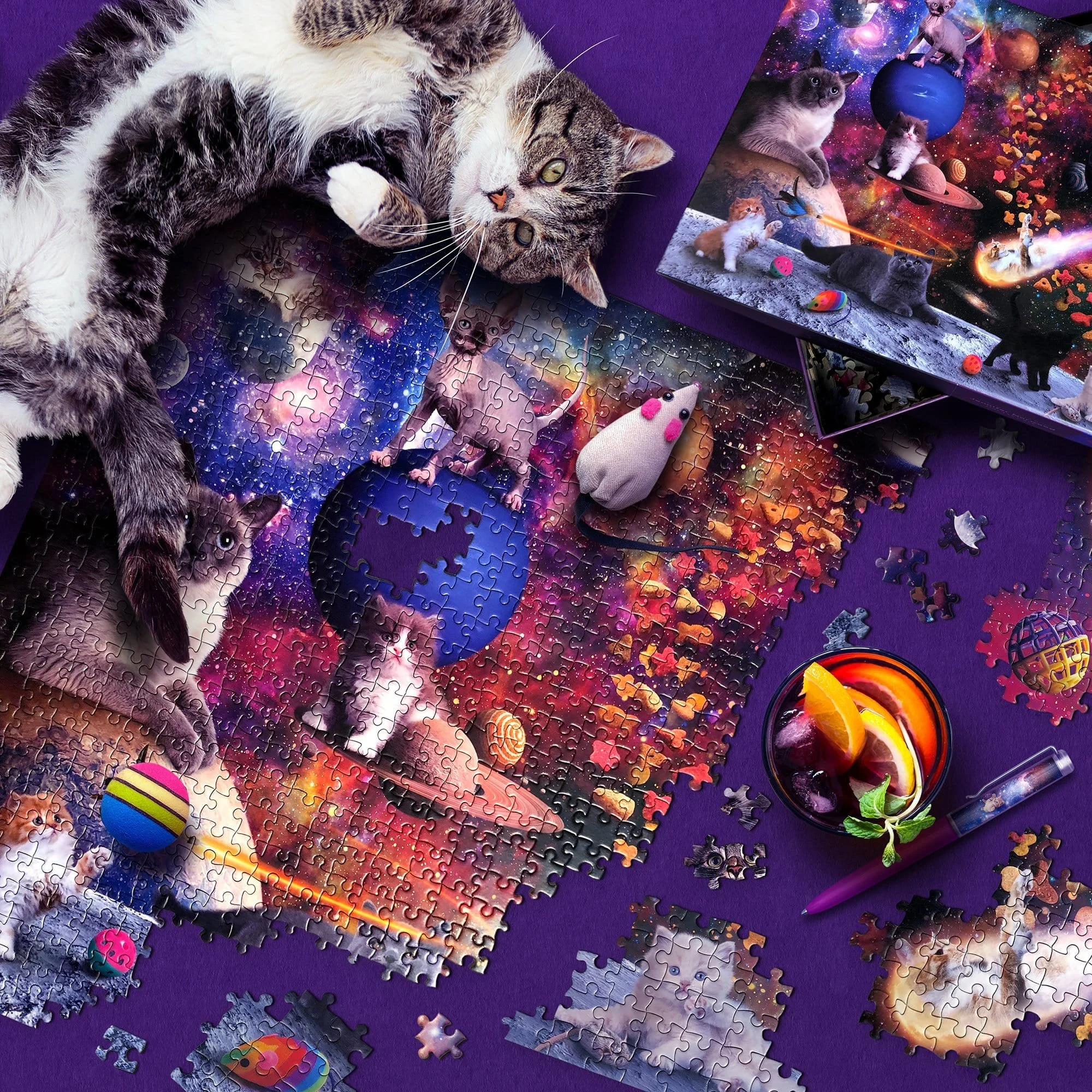 catpuzzle2.jpg