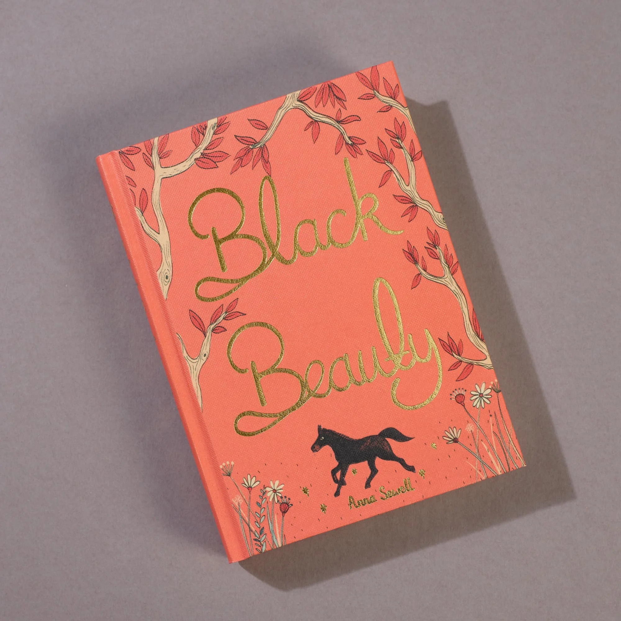 blackbeauty2.jpg