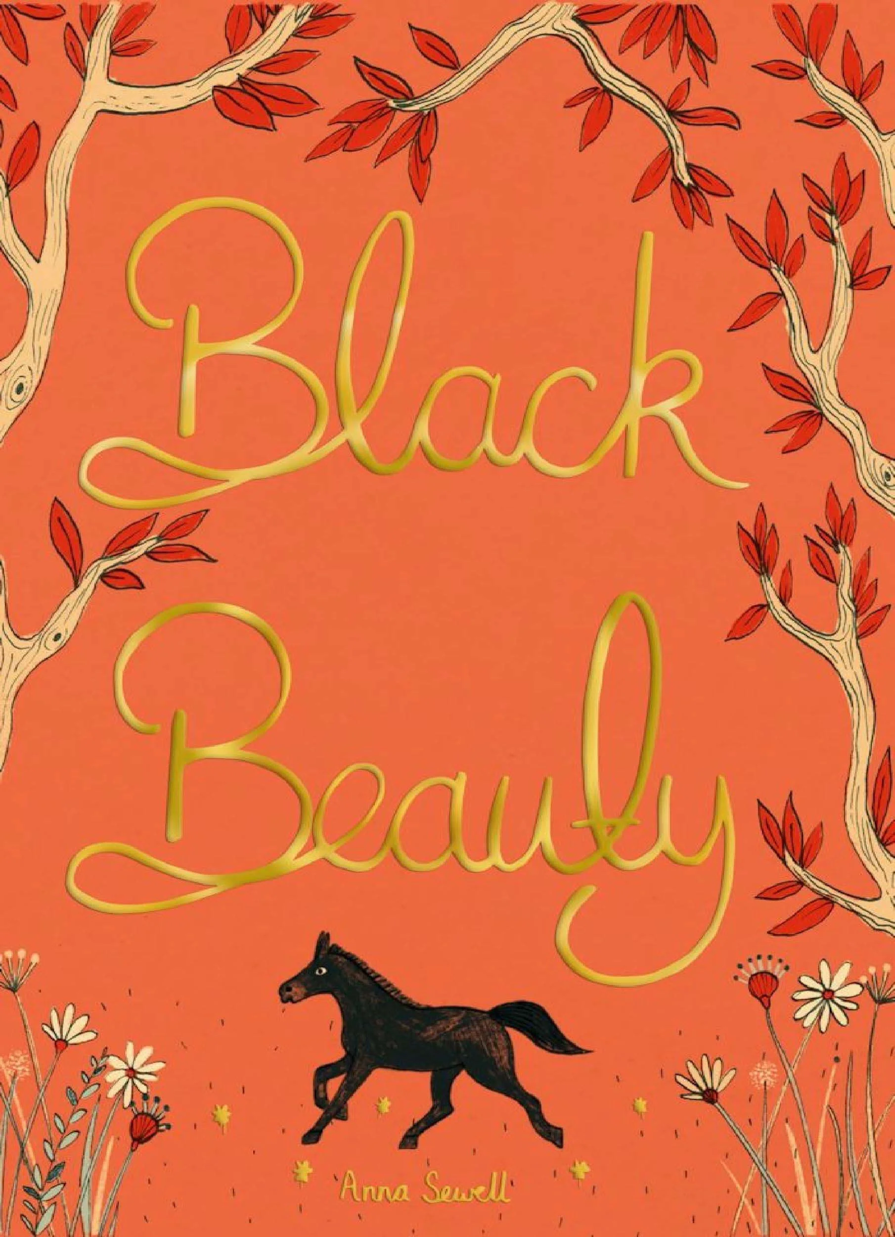 blackbeauty1.jpg