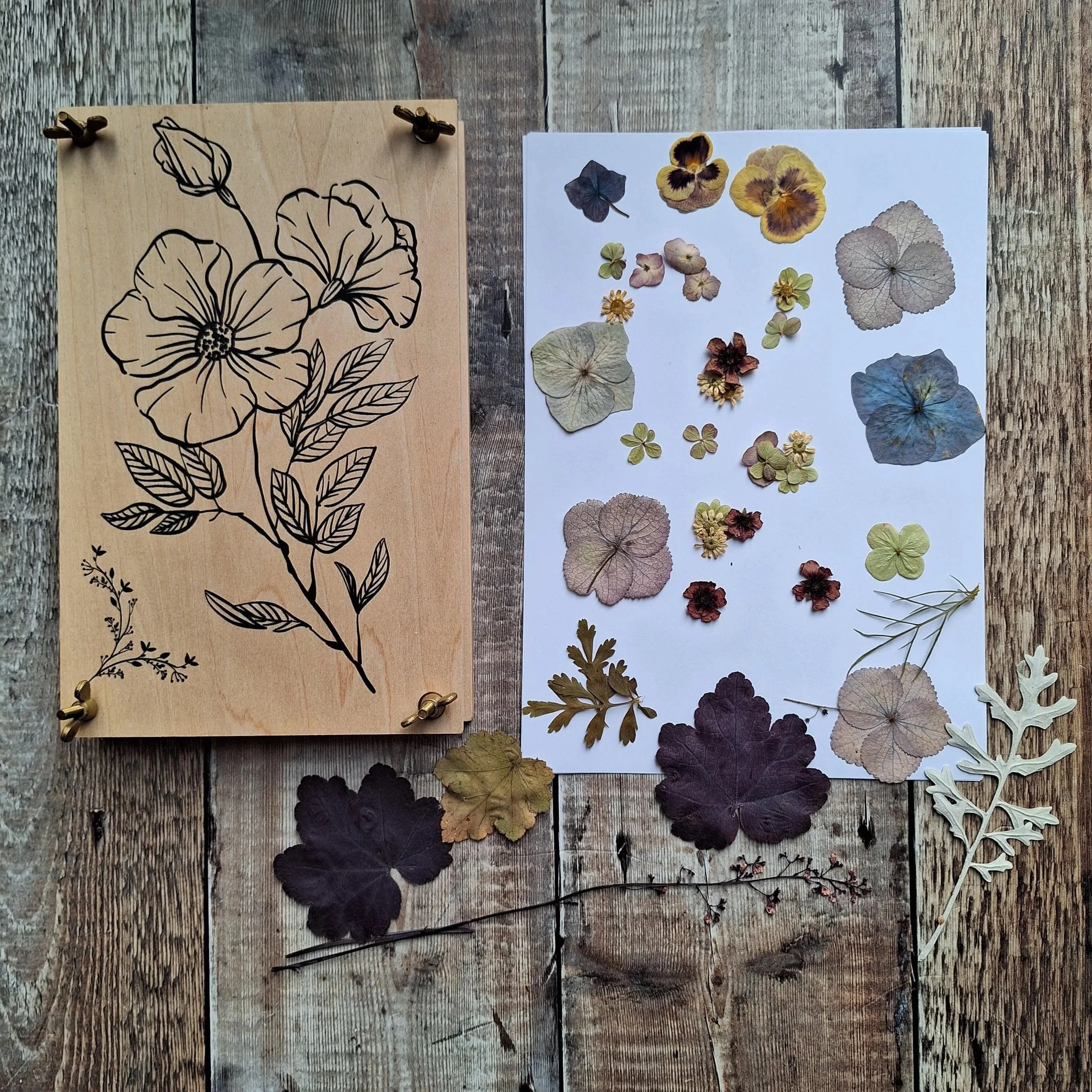 Pressed+flowers.jpg