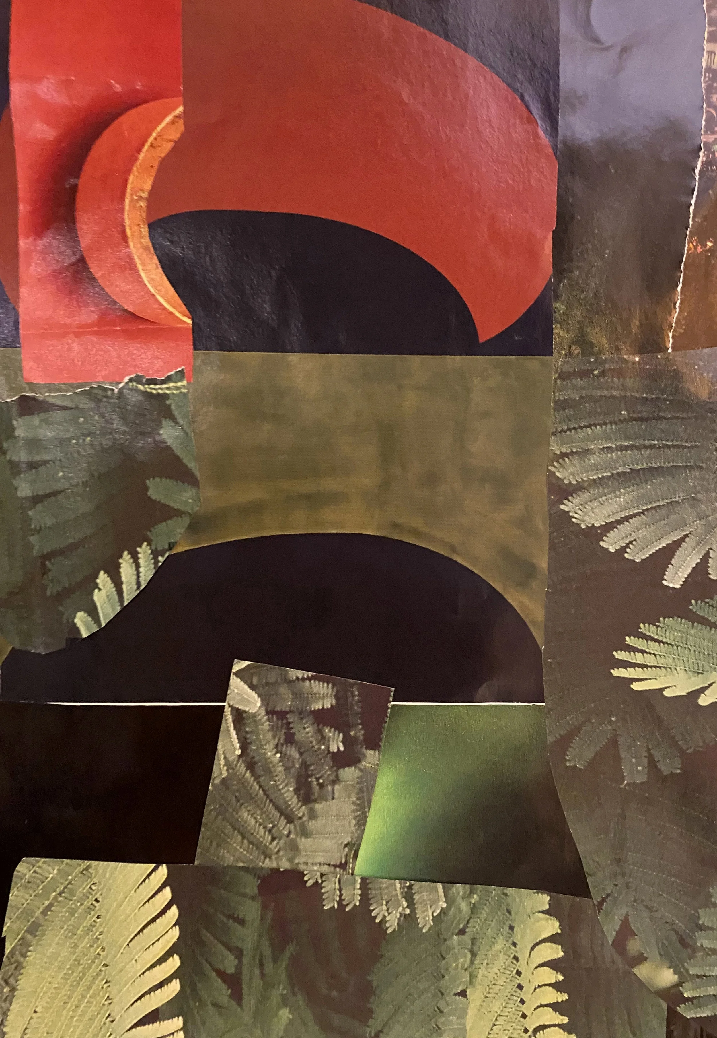 Life of Ferns
