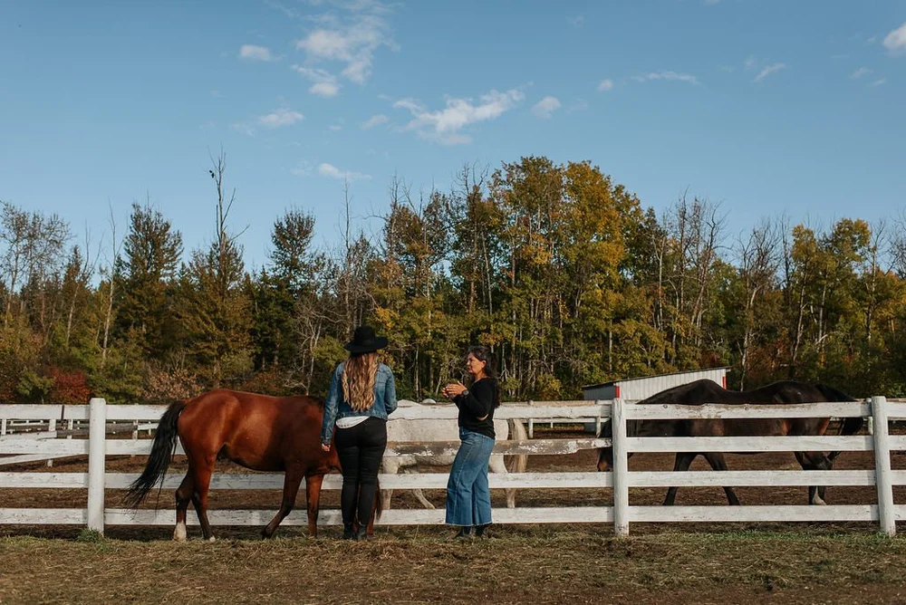 Equine Assisted Therapy at Summit Counselling Services