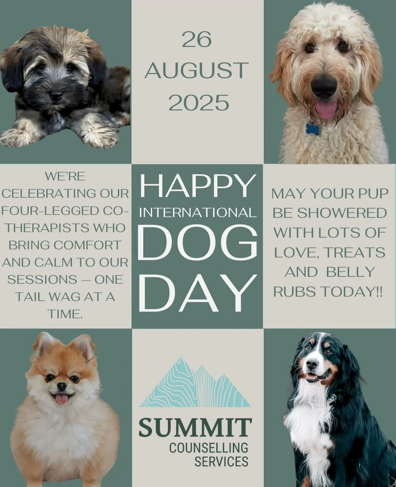 🐾 Happy International Dog Day!!! 🐾

🐶 Today we are celebrating the healing power of paws! We are grateful for the unconditional love and support that our therapy dogs bring to every session. 

🦴 Wishing all our furry friends lots of love, treats,