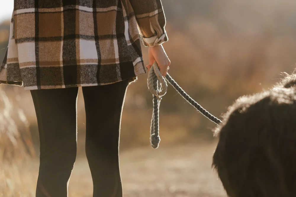 Pet loss and bereavement therapy at Summit Counselling Services Edmonton