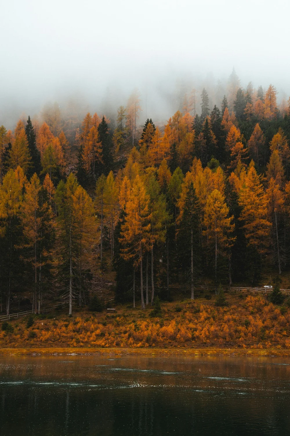 Life transitions therapy at Summit Counselling Services