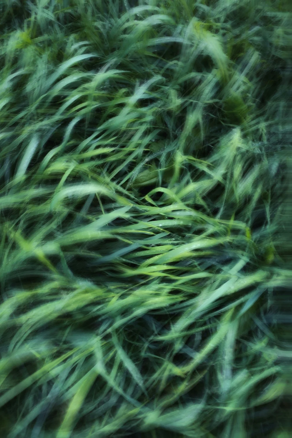 Calm, grounded therapy environment