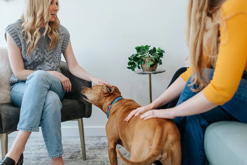 Animal Assisted Therapy session at Summit Counselling Services