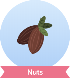 icon-nuts.png