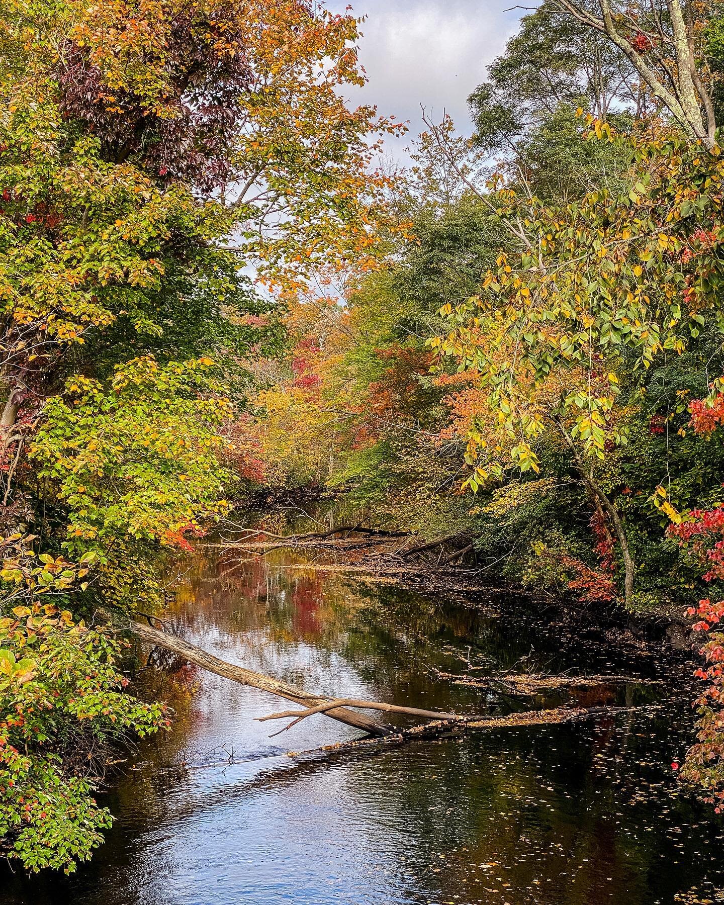 It is in the stillness that we find reflection.