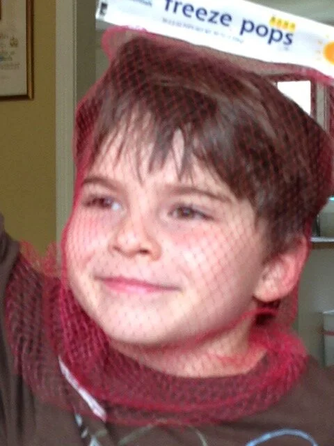 A young boy with brown hair and a slight smile is holding up a box of freeze pop ice pops.