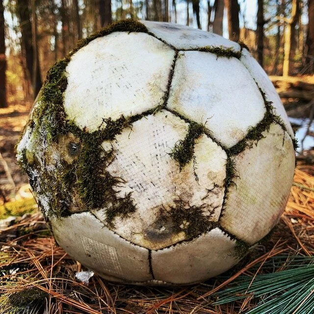 A soccer ball that is old and cracked, covered with moss and dirt, lying on the ground in a forest.