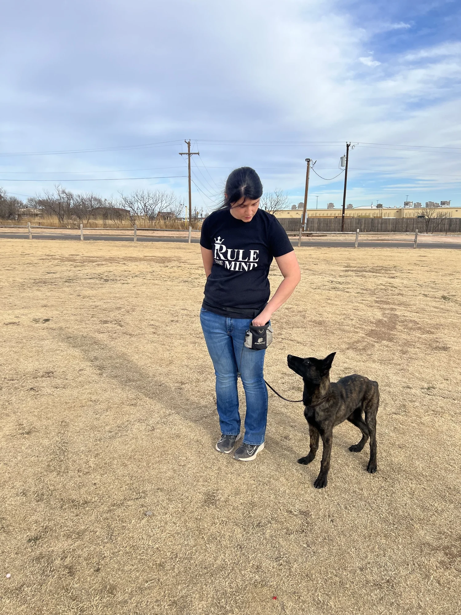 Handler working with a Dutch Shepherd on a training field