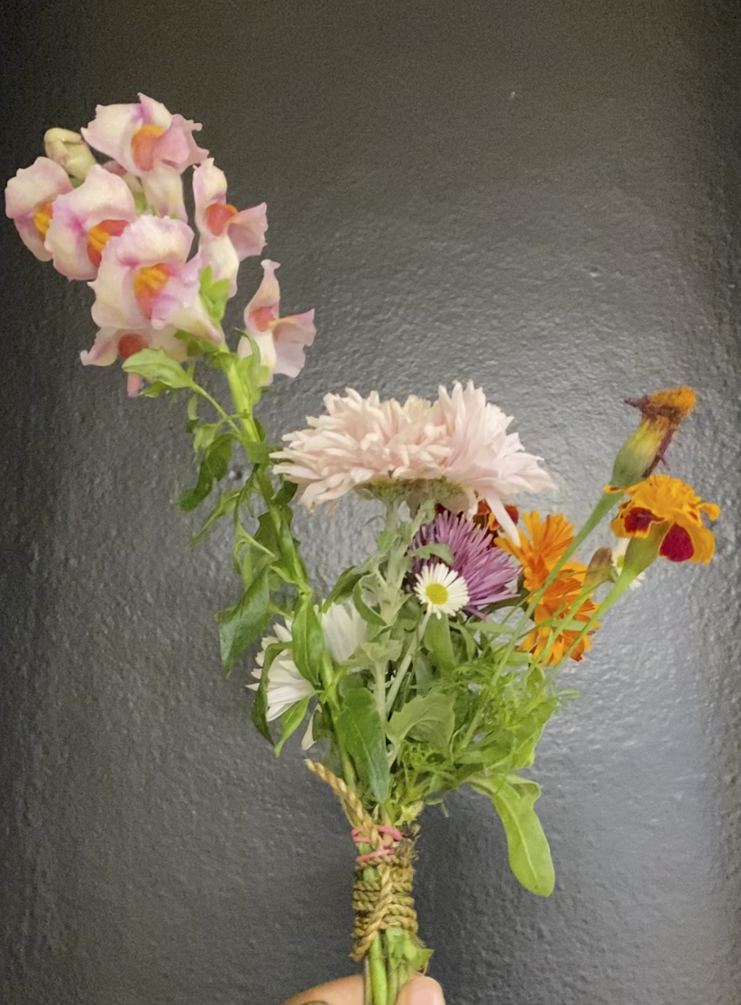 5 Things to do this Holiday Season