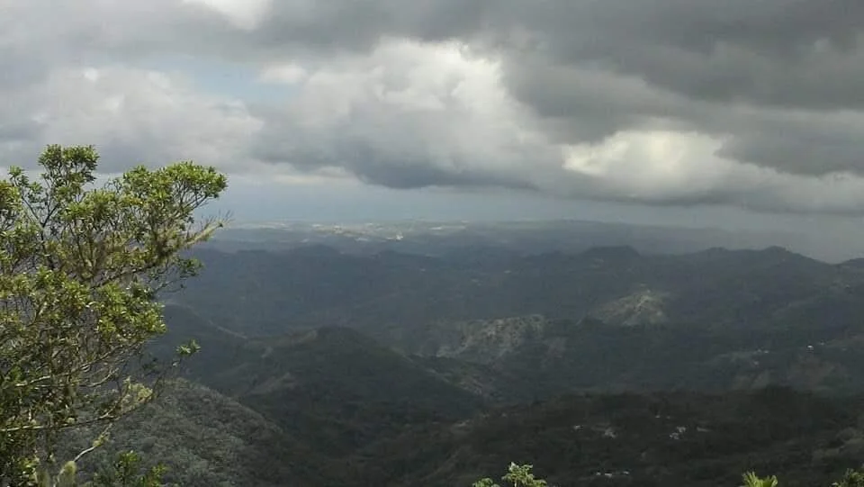 La Mancha de Plátano