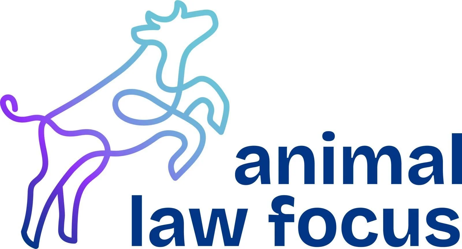 WhatsApp Image 2025-10-23 at 12.13.51.jpeg