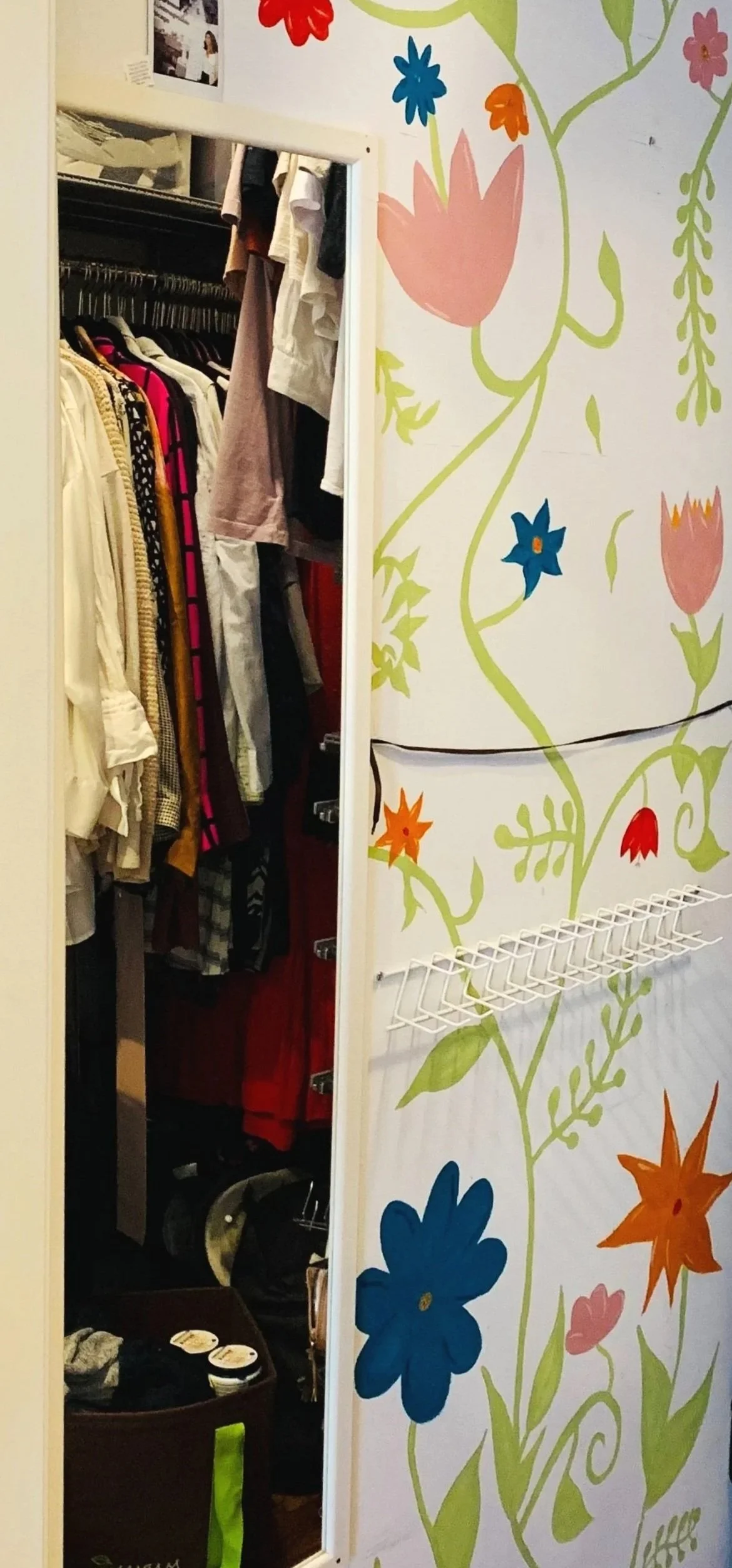 Custom Floral Closet (Small Space) Mural