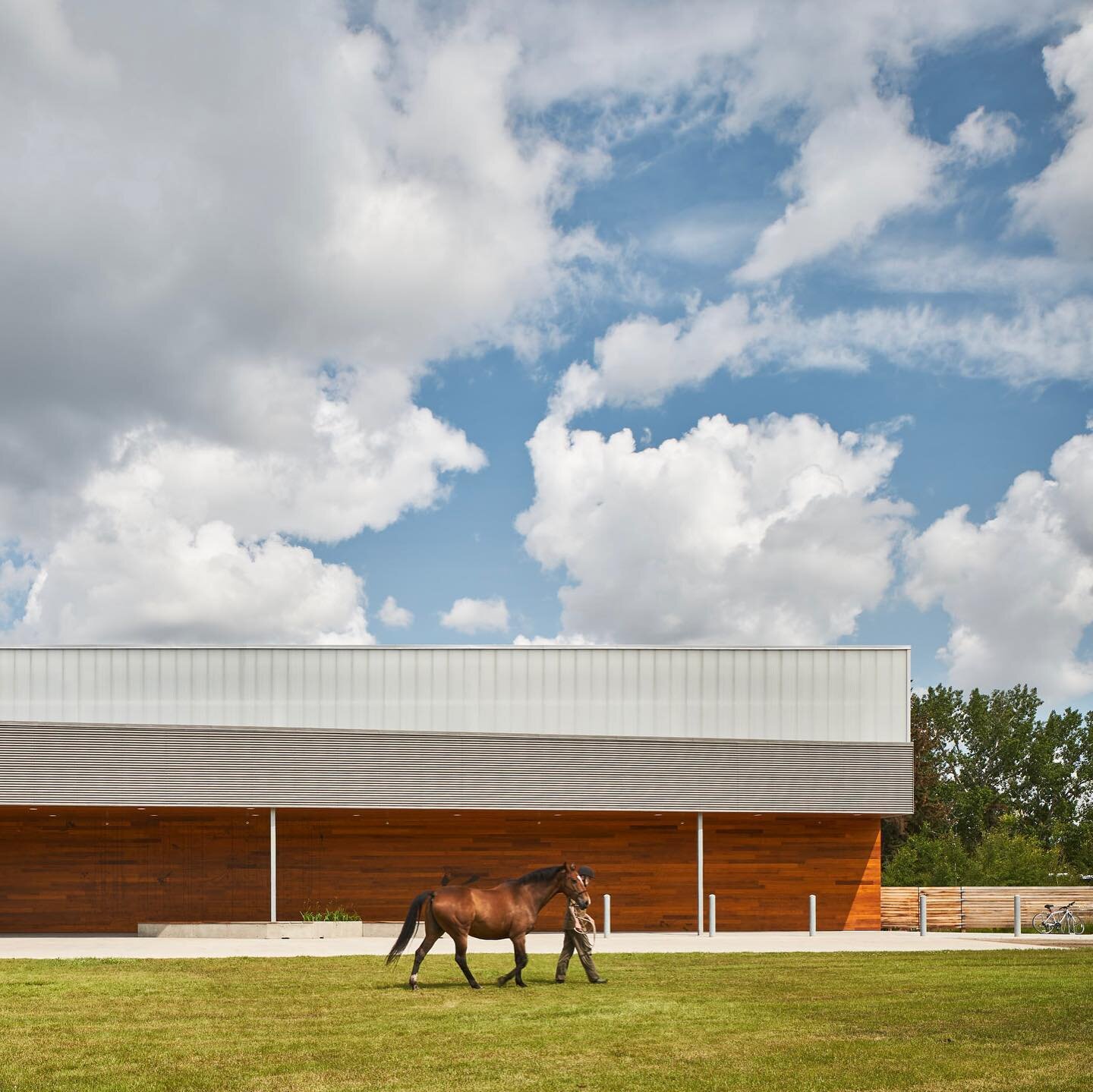 The Whitemud Equine Centre is featured on ArchDaily @archdaily. See the link in our bio.

Photos by @2spacephoto

#architecture&nbsp;#yegarchitecture&nbsp;#yegdt&nbsp;#design&nbsp;#yegdesign&nbsp;#archdaily&nbsp;#yeg #equestrian #equestrianstyle #equ