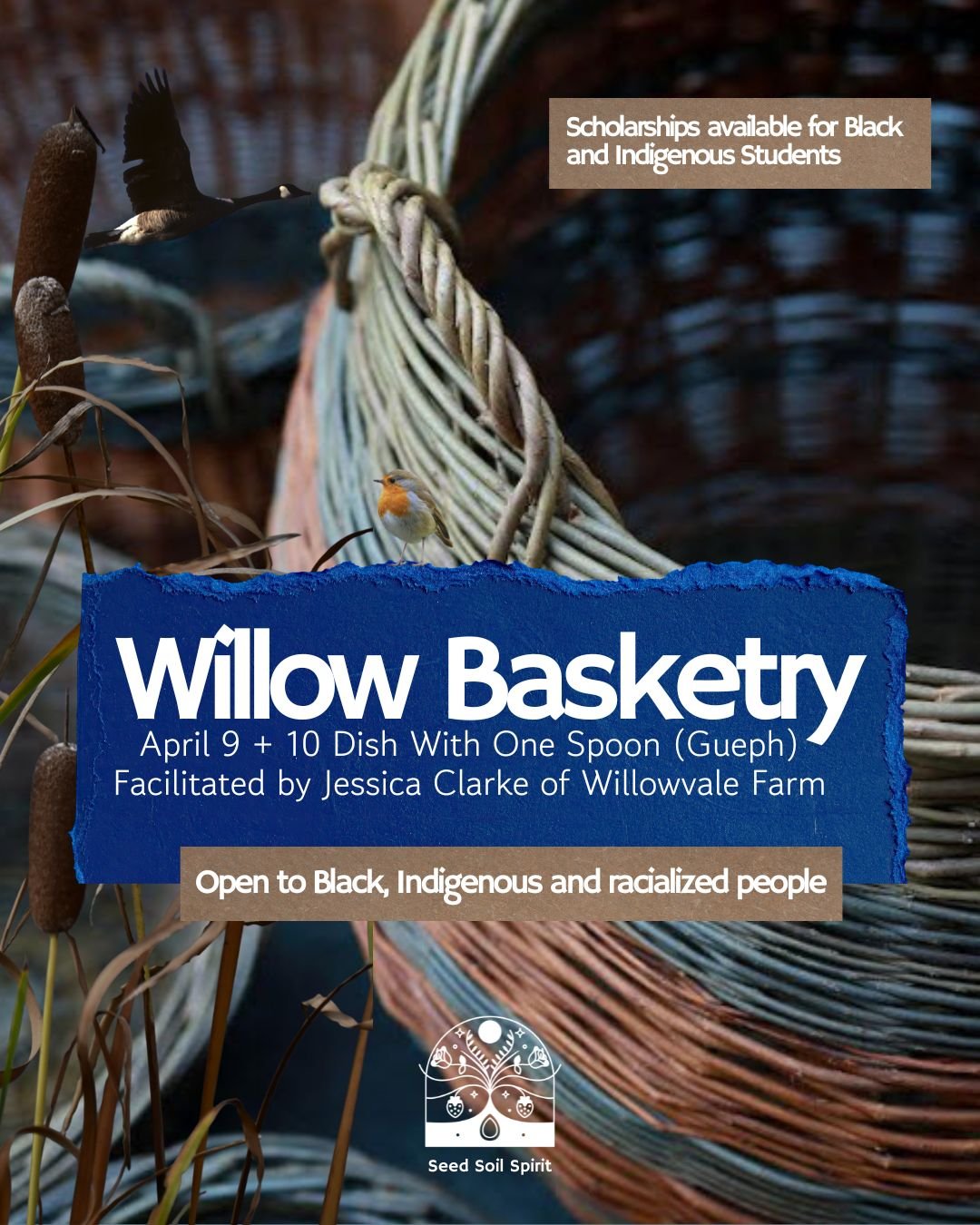 2026 BIPOC Willow Intensive